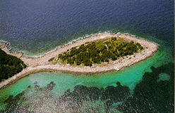 [ IMAGE: A peninsula resembling a fish, near Primosten ]