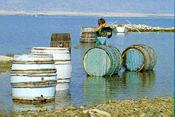 [ IMAGE: Preparation for the grape harvest ]